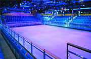 Royal Caribbean Cruises